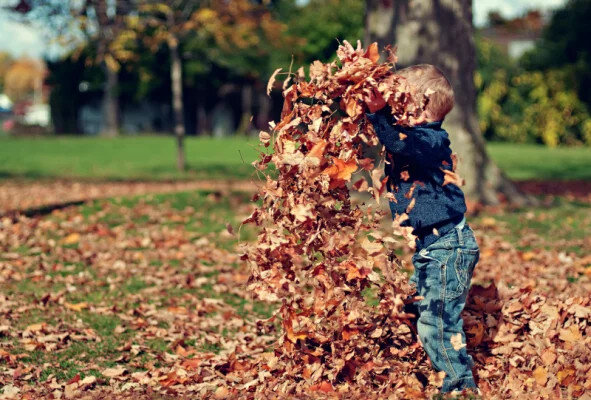 So bleibt dein Kunstrasen im Herbst top in Form - So bleibt dein Kunstrasen im Herbst top in Form