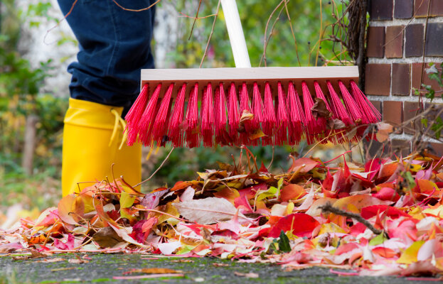 Frühjahrsputz im Garten: Schritt-für-Schritt-Plan für einen perfekten Saisonstart - Frühjahrsputz im Garten: Tipps für den perfekten Saisonstart