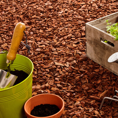 Mulchen im Garten: Unkraut stoppen &amp; Boden verbessern - Mulchen im Garten: Unkraut stoppen &amp; Boden verbessern