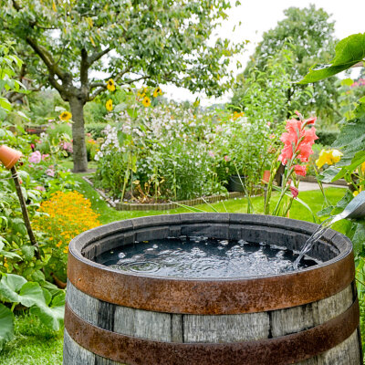 Regenwasser nutzen: Welche Lösung eignet sich für kleine Gärten und große Flächen? - Regenwasser nutzen: Lösungen für Garten &amp; große Flächen