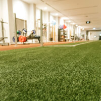 Innenaufnahme eines modernen Fitnessstudios mit künstlichem grünen Kunstrasen im Vordergrund, Trainingsgeräten und Hantelbänken im Hintergrund, die leicht unscharf sind. Die Räumlichkeiten sind hell beleuchtet und großzügig gestaltet.