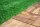Moderner, ebenerdiger Terrassenbereich eines Hauses mit hellen, glatten Wänden, großen Glasfronten und Holzboden. Im Vordergrund steht ein kleiner Baum auf grünem Rasen, auf der Terrasse stehen dunkle Rattanmöbel mit roten Polstern. Links ist eine dekorative Holzsäulenverkleidung, im Hintergrund sind Rasen und Bäume sichtbar, der Himmel ist bewölkt.